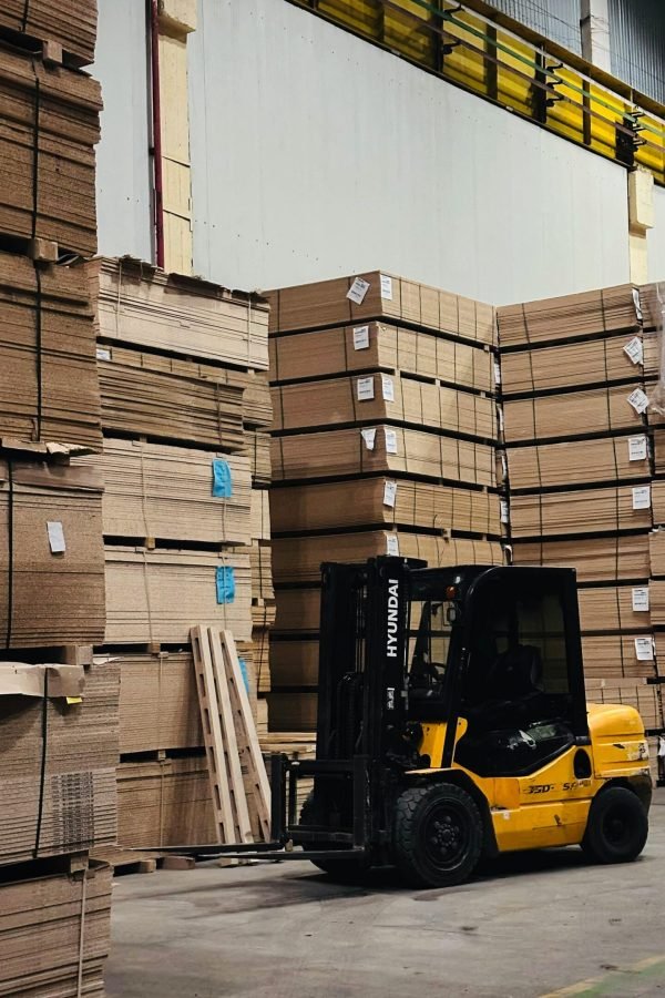 pexels-said-alibay-144226456-35665496